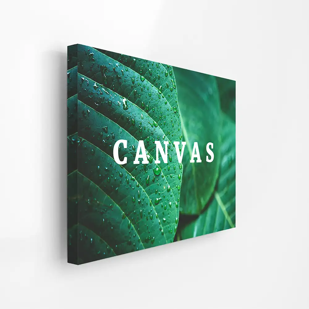 Canvas coustomised Photo print frame